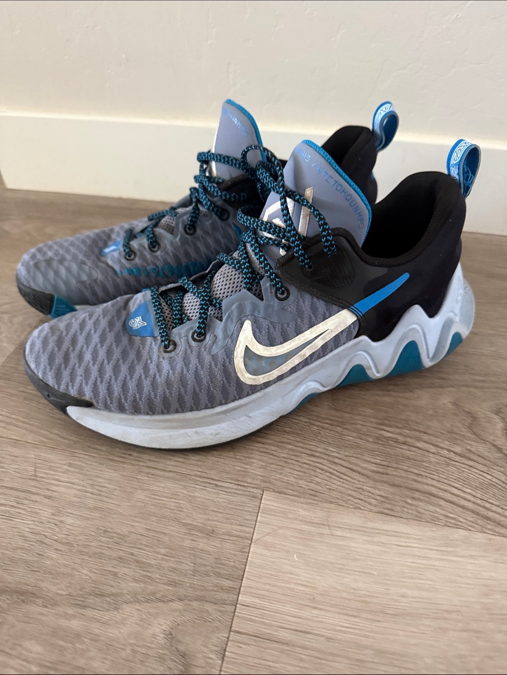 Nike Men’s Gray and Blue Giannis Basketball Shoes